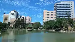 從醉月湖畔望向物理系館與天文數學館