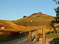 秋天的 Neckarsulmer Scheuerberg