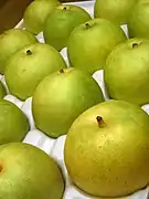 「二十世紀梨」'Nijisseiki' Pear