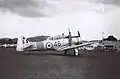 皇家紐西蘭空軍的Harvard 1961
