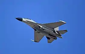 歼-11（同型機）