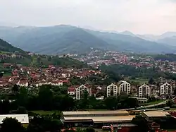 布鲁斯全景