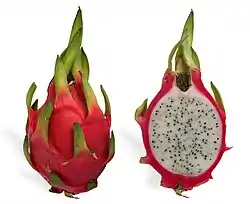 白肉火龍果（英语：）White-fleshed pitaya