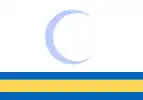 2004年被否决的伊拉克新国旗