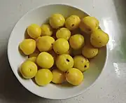 布里揚松杏Briançon apricot
