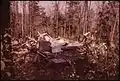 1973年因冬天的積雪而倒塌的夏季小屋殘骸
