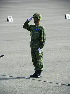 著陸軍迷彩服的陸軍步兵302旅上校旅長