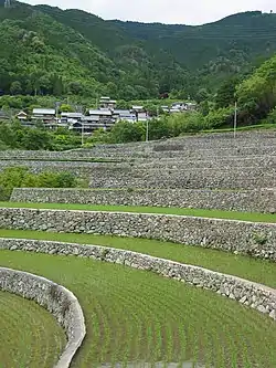 深野梯田