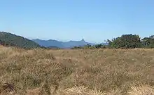 一片草原,远处有一座山峰