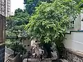 城皇街近必列者士街
