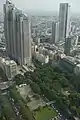 都廳舍眺望新宿中央公園