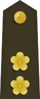 中華民國海軍陸戰隊中校肩章