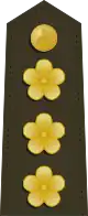 中華民國海軍陸戰隊上校肩章