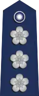 中華民國空軍上校肩章
