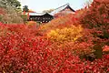 紅葉和通天橋