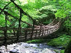 奧祖谷二重蔓橋的男橋