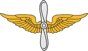 美國陸軍航空兵領章