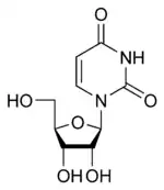 structure chimique de l'uridine