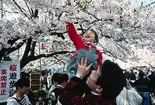 赏花