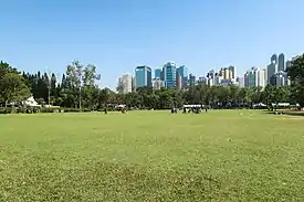 中央草坪