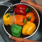 各種菜椒：綠色，紅色，黃色和橙色